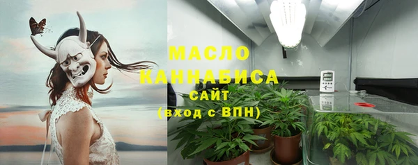 сатива Козельск